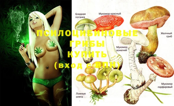 амф Лабытнанги
