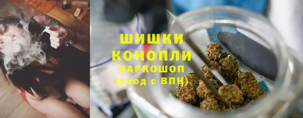 мет Ладушкин