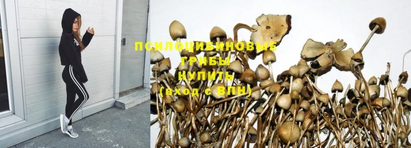 героин Кукмор
