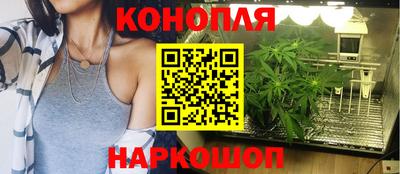 ALPHA PVP Заволжье