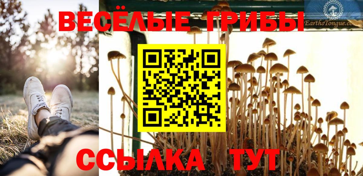 Галлюциногенные грибы прущие грибы  Вход с VPN  Коркино  Галлюциногенные грибы Psilocybine cubensis 