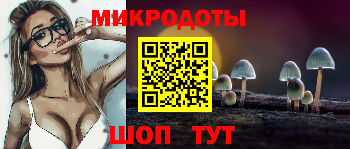 Псилоцибиновые грибы прущие грибы Коркино